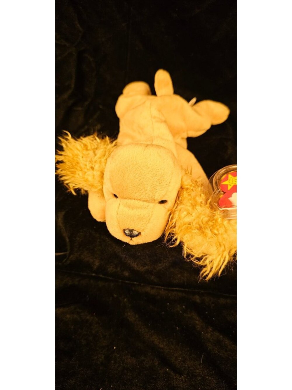 Ty Beanie Baby Spunky Cocker Spaniel Plush Dog 1997 Vintage Collectible With Tag